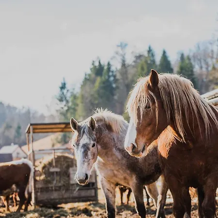 Farm Zurej Gostinjska kuća