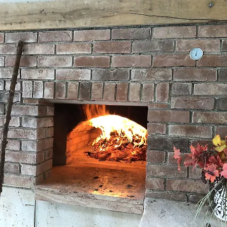 Farm Zurej بيت ضيافة Šentjur