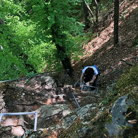 Farm Zurej بيت ضيافة