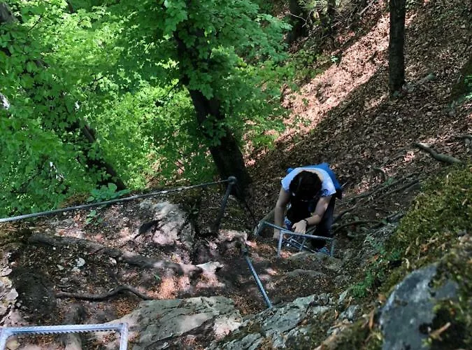 Farm Zurej Gæstehus