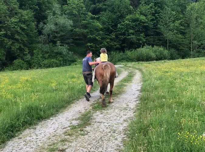 Farm Zurej Gæstehus Šentjur